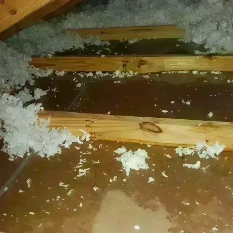 Attic Water Damage in Hillsdale, MO